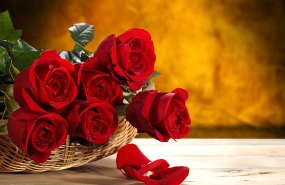 1645178895763495.jpg 玫瑰花