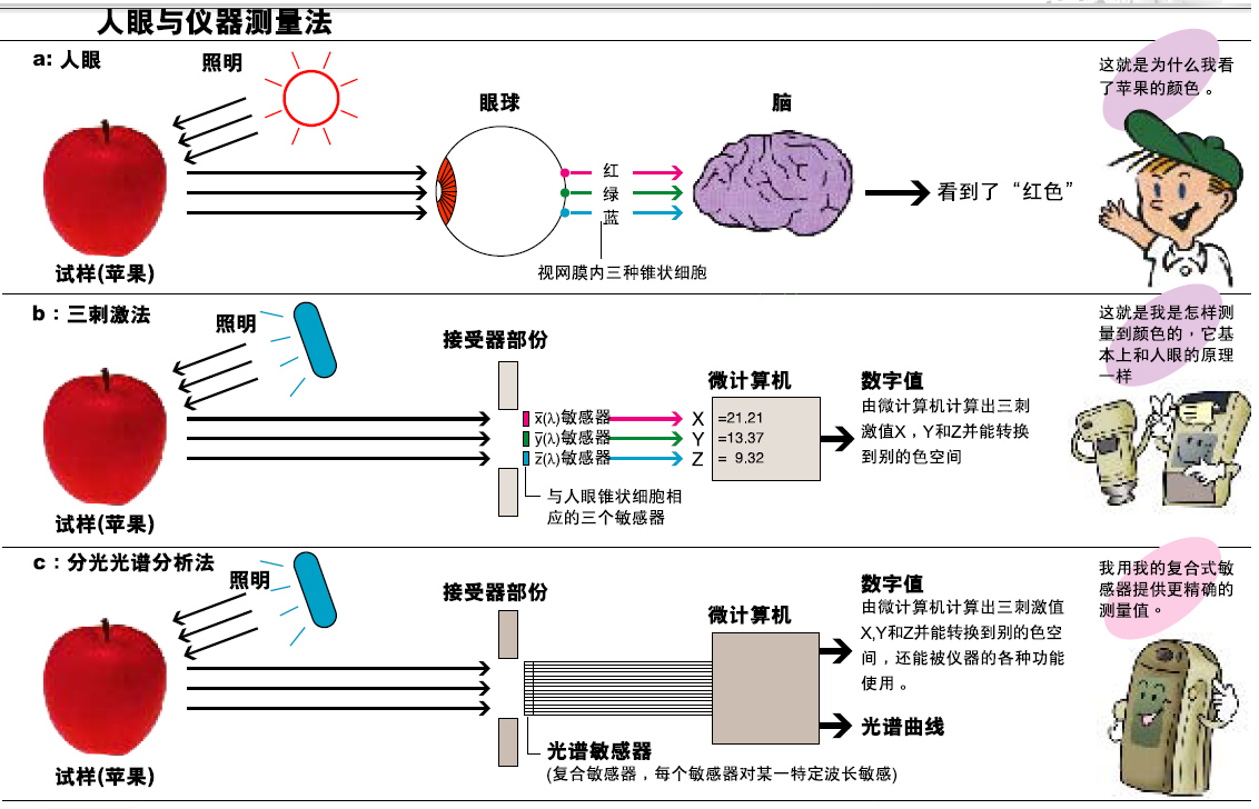快猫视频APP污的分光型与三刺激值型哪个更好？