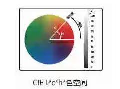 快猫视频APP污l值c值h值是什么意思？